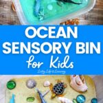 Ocean Sensory Bin