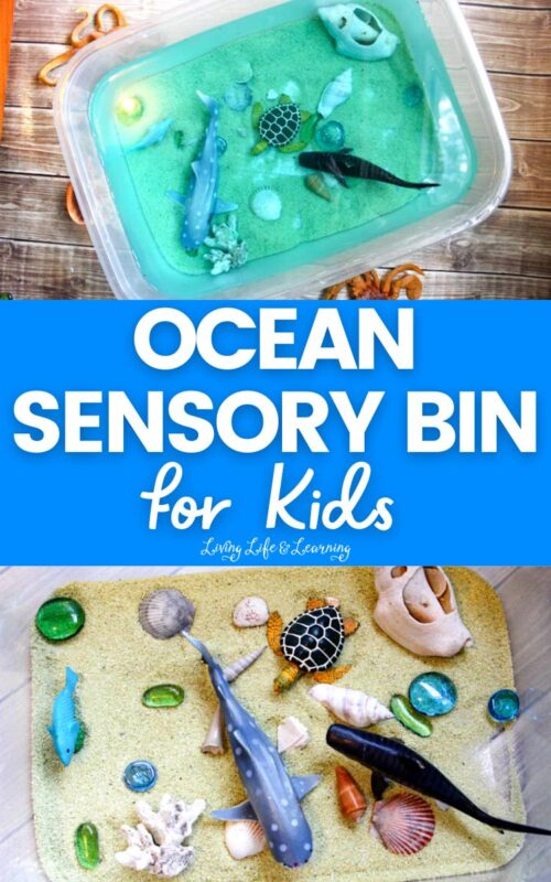 Ocean Sensory Bin Activity for Kids