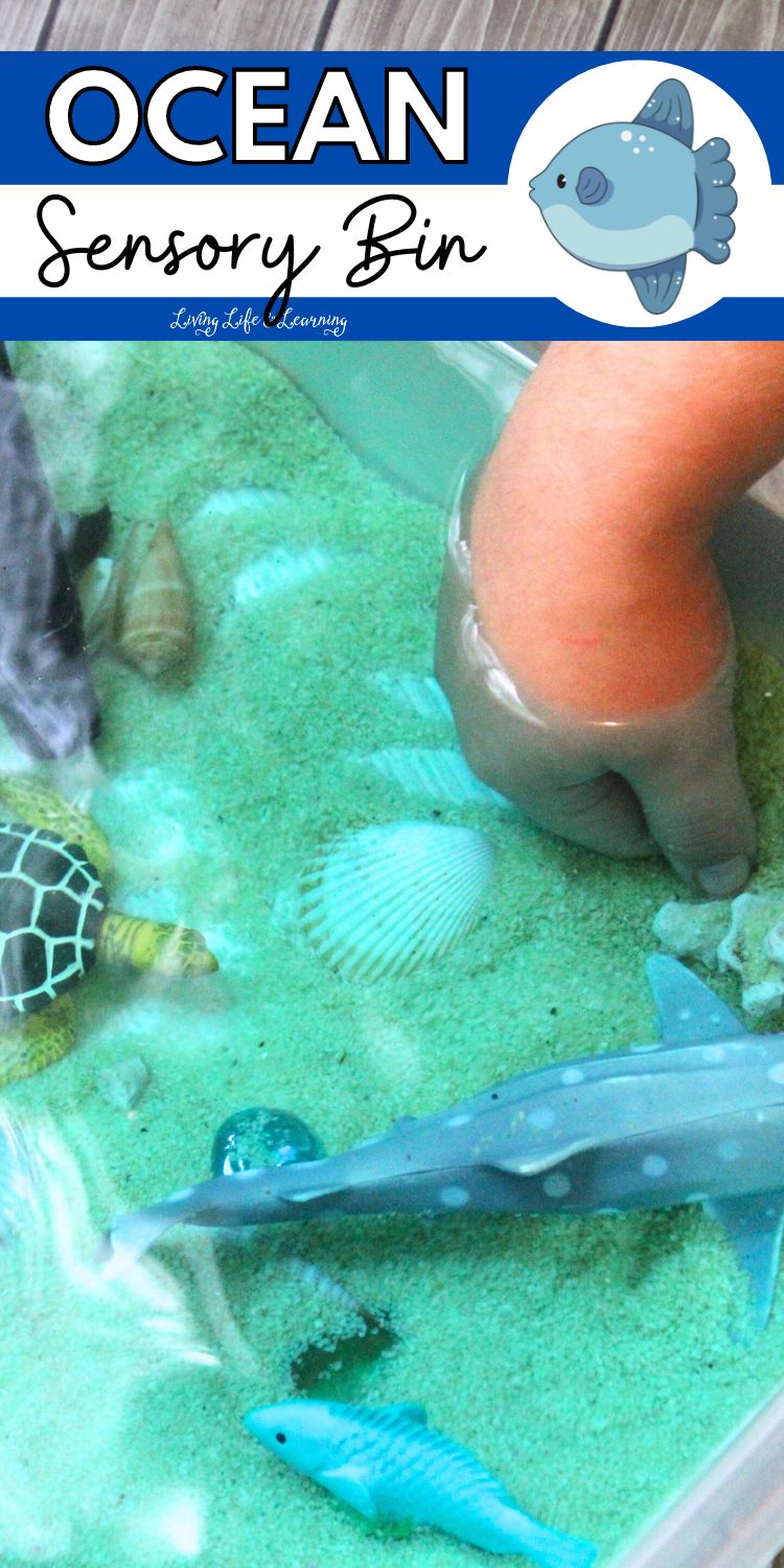 Ocean Sensory Bin Activity for Kids