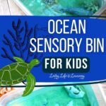 Ocean Sensory Bin for Kids