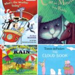 Weather Books for Kids: Paneled book covers.