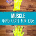 Muscle system hand craft for kids