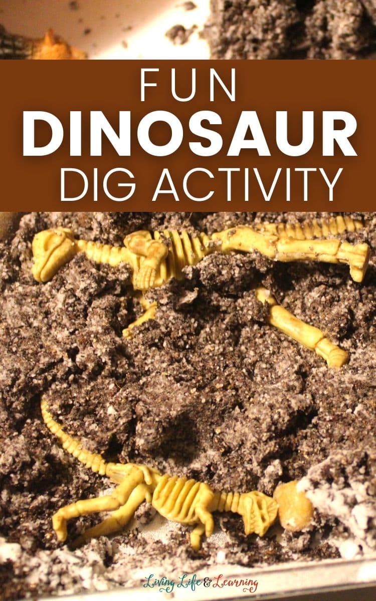 Fun Dinosaur Dig Activity