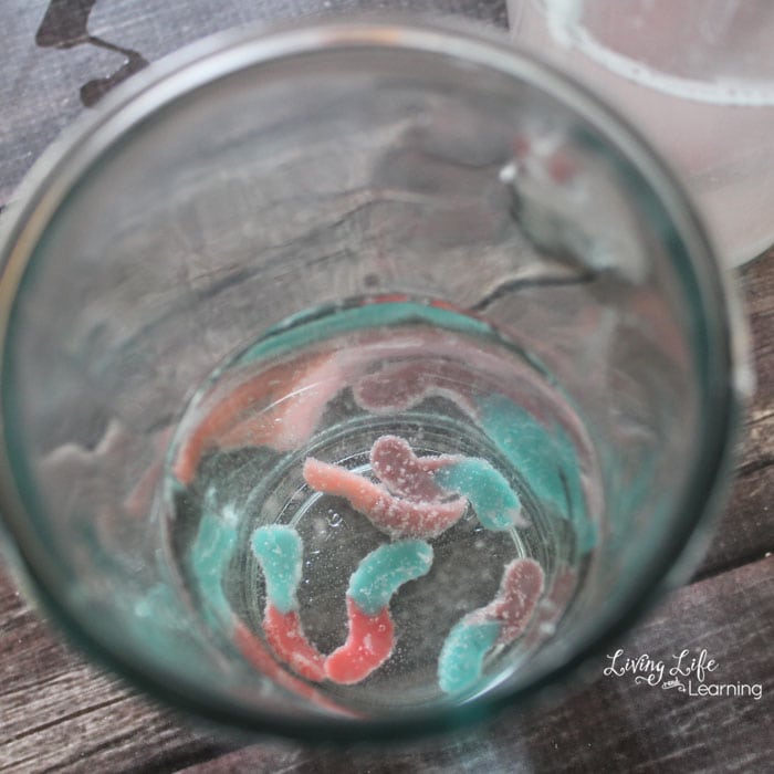 dancing worm science activity for kids