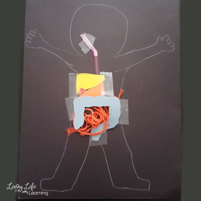 Simple DIY digestive system craft for kids and learn how your body digests food