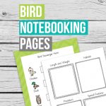 Learn more about your favorite birds with these free bird notebooking pages, a wonderful way to record the new information on your birds.