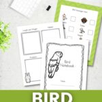 bird notebooking pages