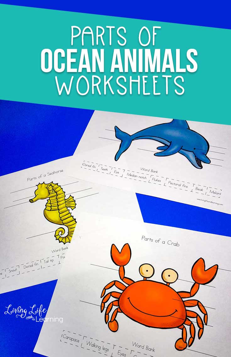 Parts of Ocean Animals Worksheets