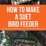 DIY Suet Bird Feeder