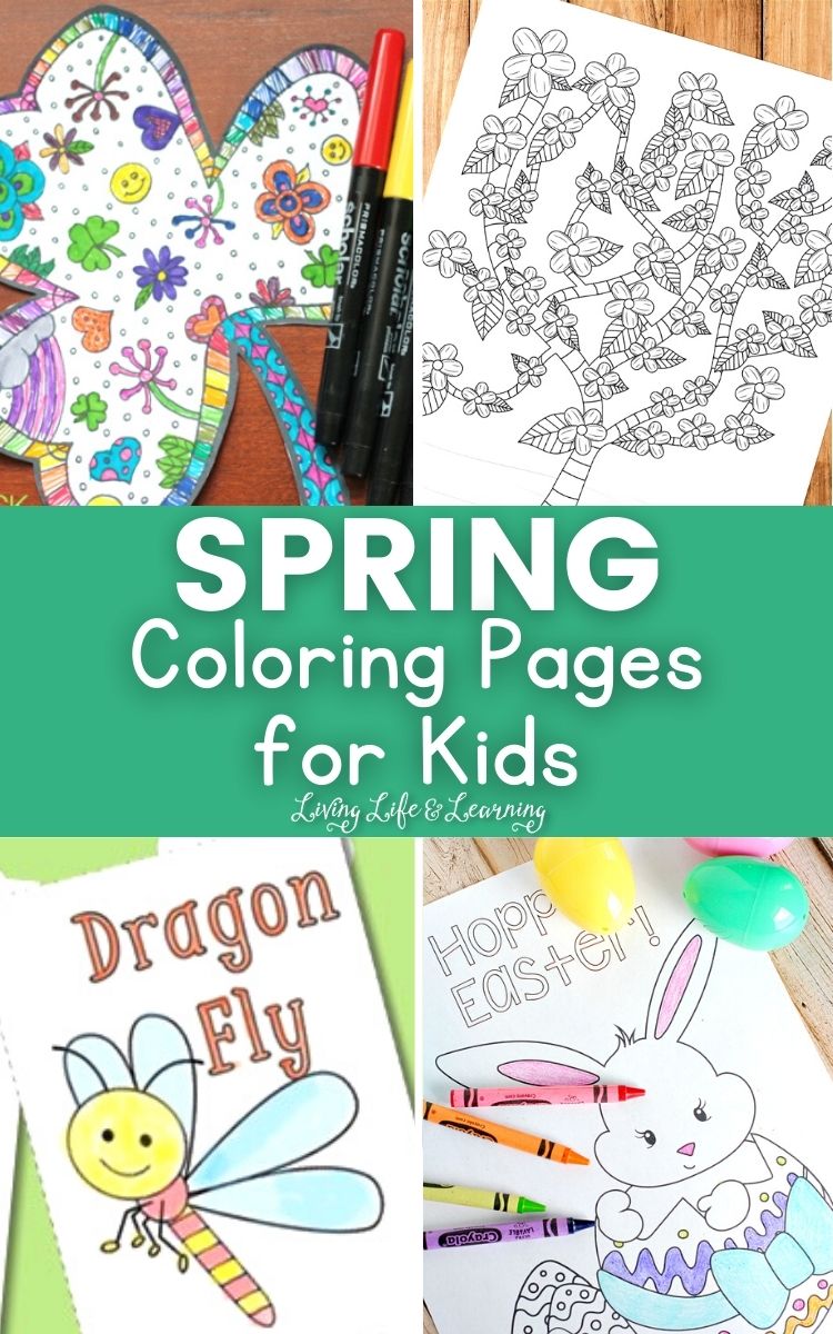Spring Coloring Pages for Kids