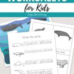Whale Worksheets for Kids on a table