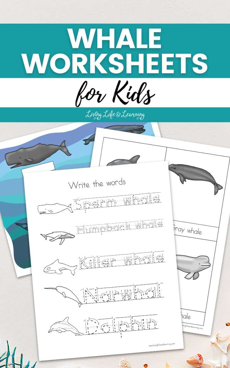 Whale Worksheets for Kids on a table