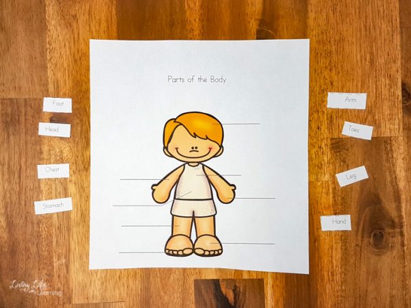 Parts of the Body Worksheets for Kids Is A Fun Way To Teach Kids About ...