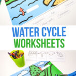 Water Cycle Worksheets