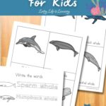 There are three Whale Worksheets for Kids on the table
