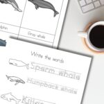 There are two Whale Worksheets for Kids on the table