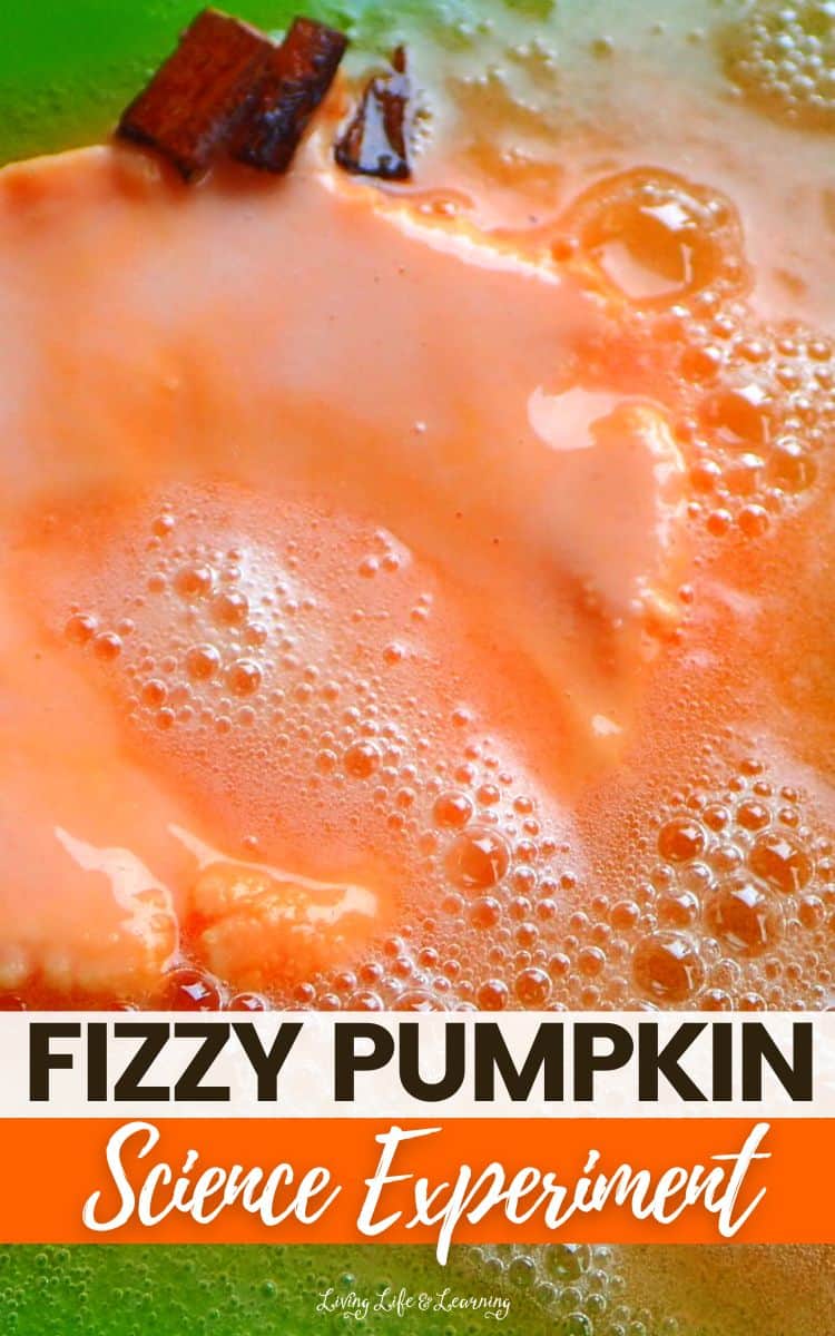 Fizzy Pumpkin Science Experiment