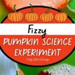 Fizzy Pumpkin Science Experiment