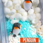 Easy Penguin Sensory Bin