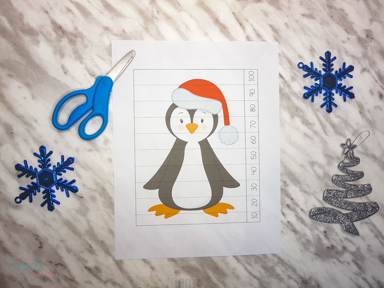 Winter Counting Puzzles