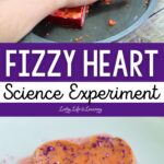 Fizzy Heart Science Experiment
