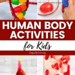collage of Human Body Activities for Kids