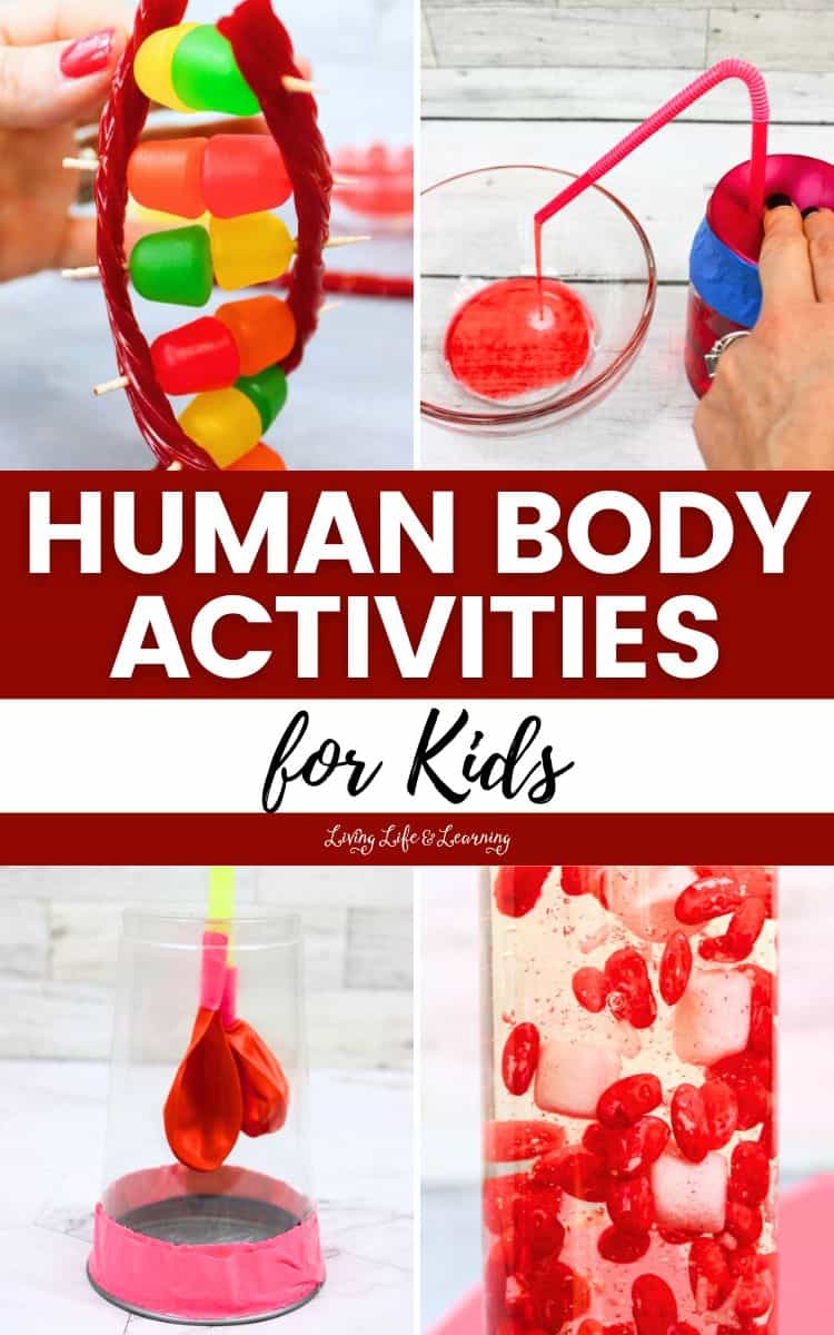 collage of Human Body Activities for Kids