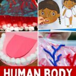 collage of Human Body Activities for Kids