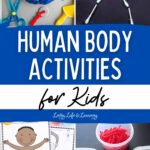 collage of Human Body Activities for Kids