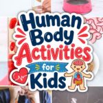 collage of Human Body Activities for Kids