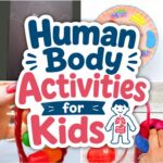collage of Human Body Activities for Kids