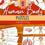 Human Body Puzzles