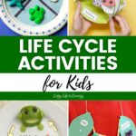 collage of Life Cycle Activities for Kids