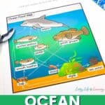 Ocean Food Web Worksheets