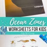 There are two images of Ocean Zones Worksheets on a table.
