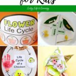 collage of Life Cycle Activities for Kids
