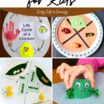 collage of Life Cycle Activities for Kids