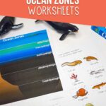 Elementary Ocean Zones Worksheets