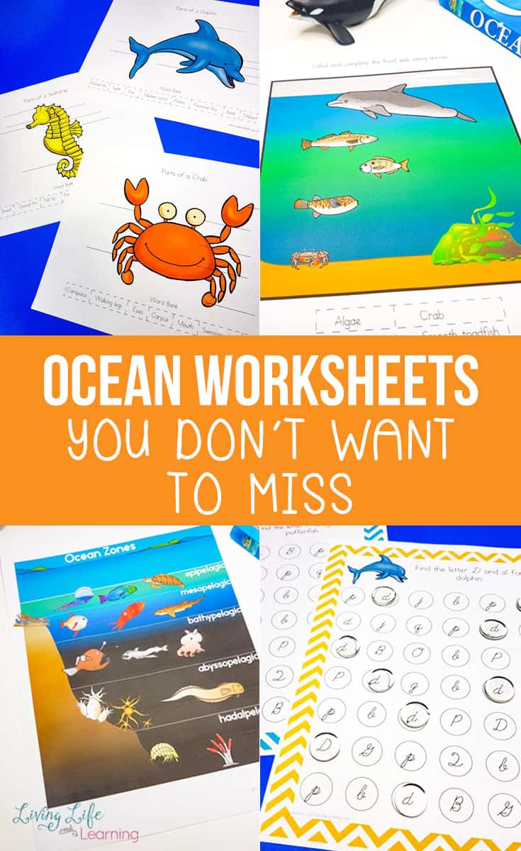 Ocean Worksheets You Don t Want To Miss