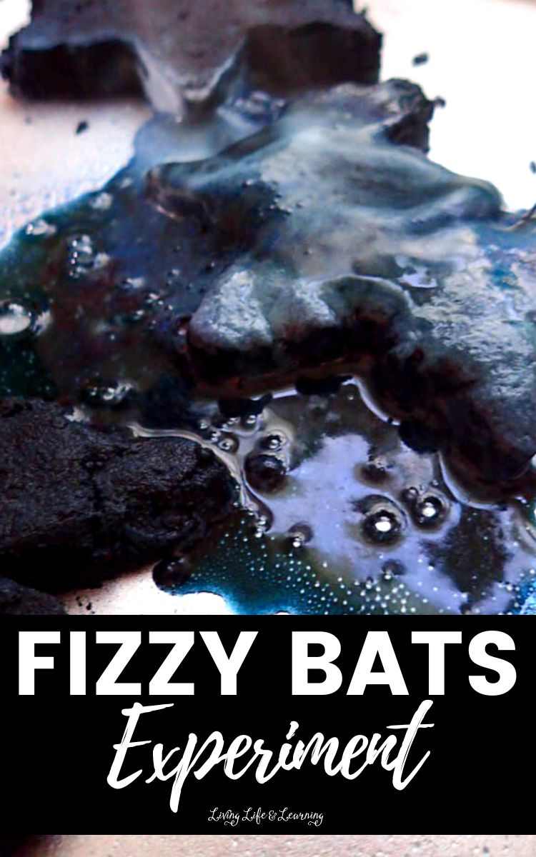Fizzy Bat Experiment Your Kids Will Love