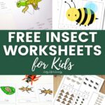 Free Insect Worksheets for Kids