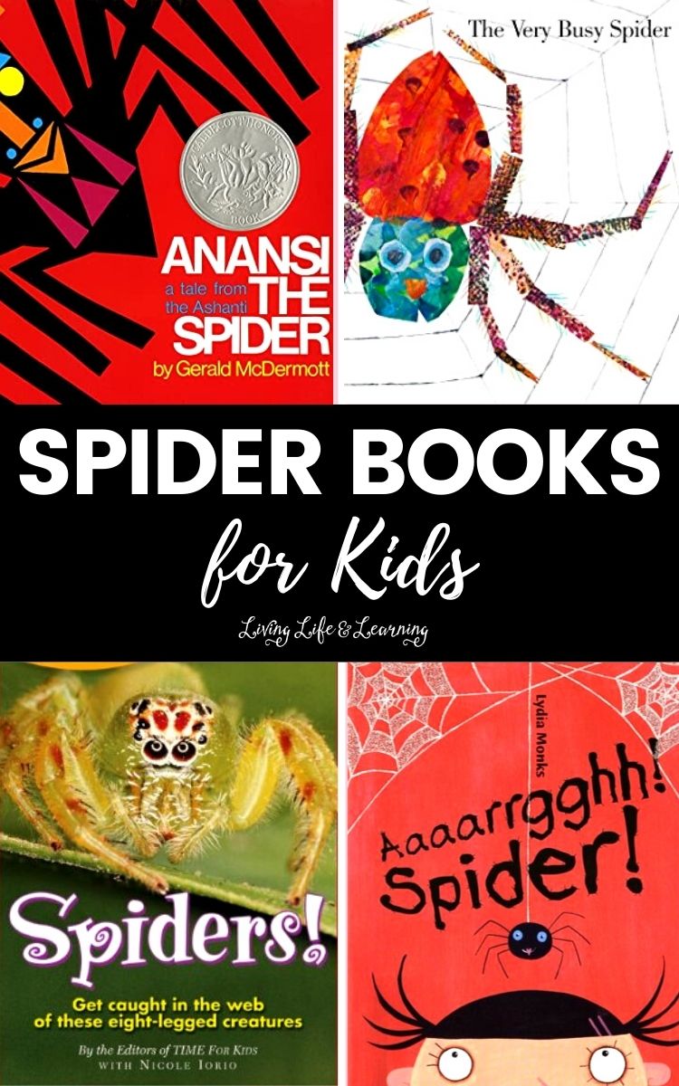 Spider Books for Kids