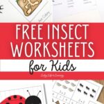 Free Insect Worksheets for Kids