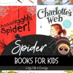 Spider Books for Kids