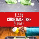 Fizzy Christmas Tree Science