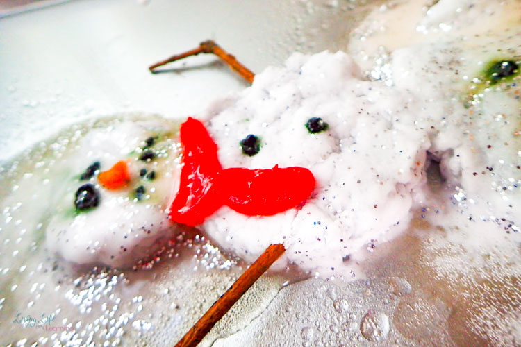 Fizzy Snowman Science Activity