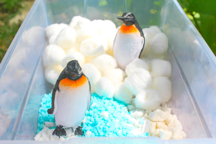 Create your own penguin paradise with this simple penguin sensory bin. Two penguins on top of finished sensory bin in a different angle outside a yard.