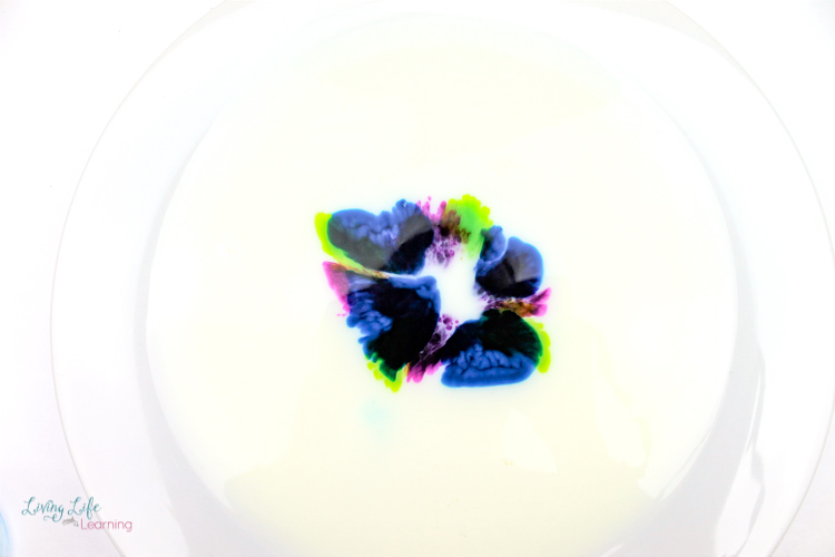 The first stage of the magic milk experiment, with the food coloring dripped onto the milk.