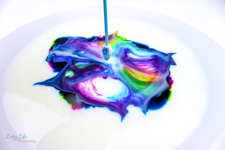 Adding the dish soap to the milk in the magic milk experiment causes the colors to swirl