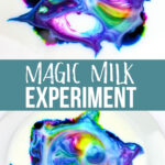 Cool Magic Milk Experiment